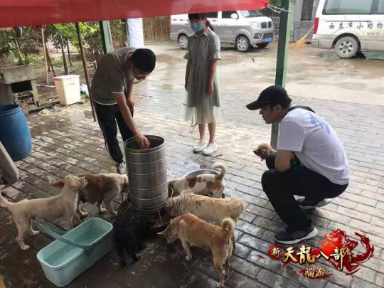 图7：陕西同城会给狗子们做饭咯.jpg